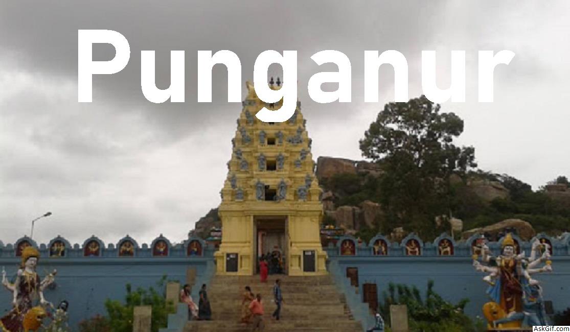 पुंगनूर में देखने के लिए शीर्ष स्थान, आंध्र प्रदेश