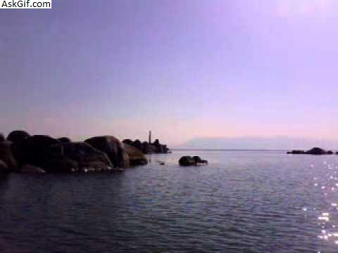 1. बिस्वनाथ घाट