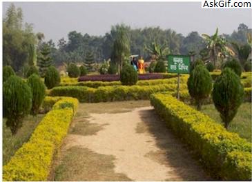 2. कोयकुजिया बील सह पार्क