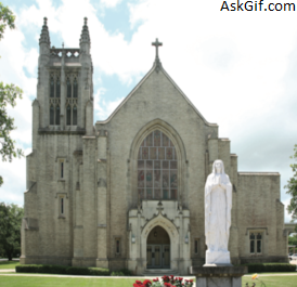 2. रुचि के स्थान