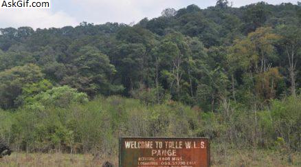 3. तल्ली घाटी वन्यजीव अभयारण्य