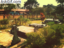 2. संग्रहालय और विरासत स्थल और इमारतें