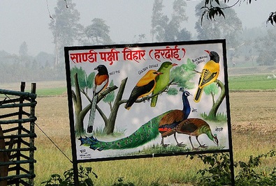 2. सैंडी पक्षी अभयारण्य