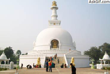 2. रुचि के स्थान