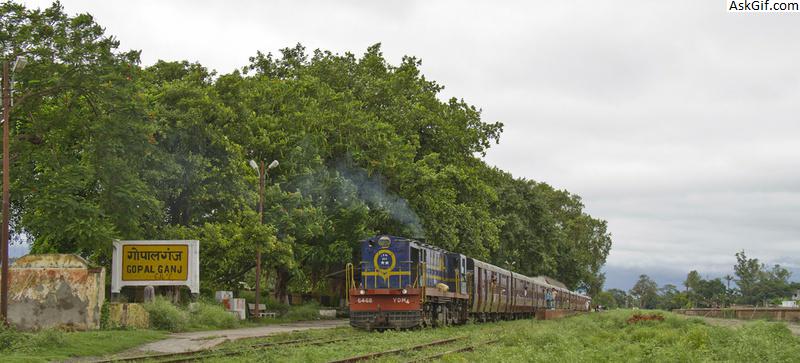 6. संस्कृति और विरासत