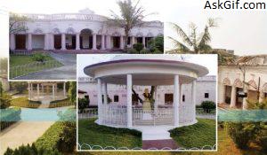 3. जीरादेई