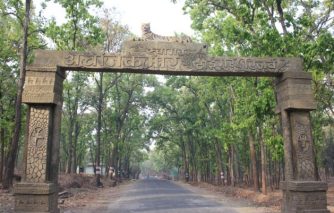 6. अचनकमार टाइगर रिजर्व (ATR)