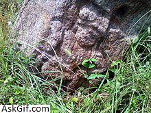 1. पावुरलकोंडा