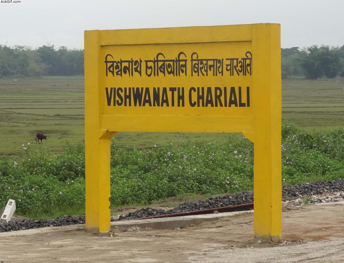 बिश्वनाथ, बिश्वनाथ चाराली में घूमने के लिए शीर्ष स्थान, असम