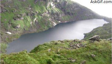 1. एकोडॉलींग (रियुताला)