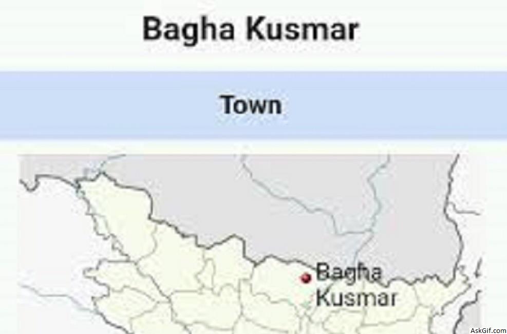 बाघा कुसमर में देखने के लिए शीर्ष स्थान, बिहार