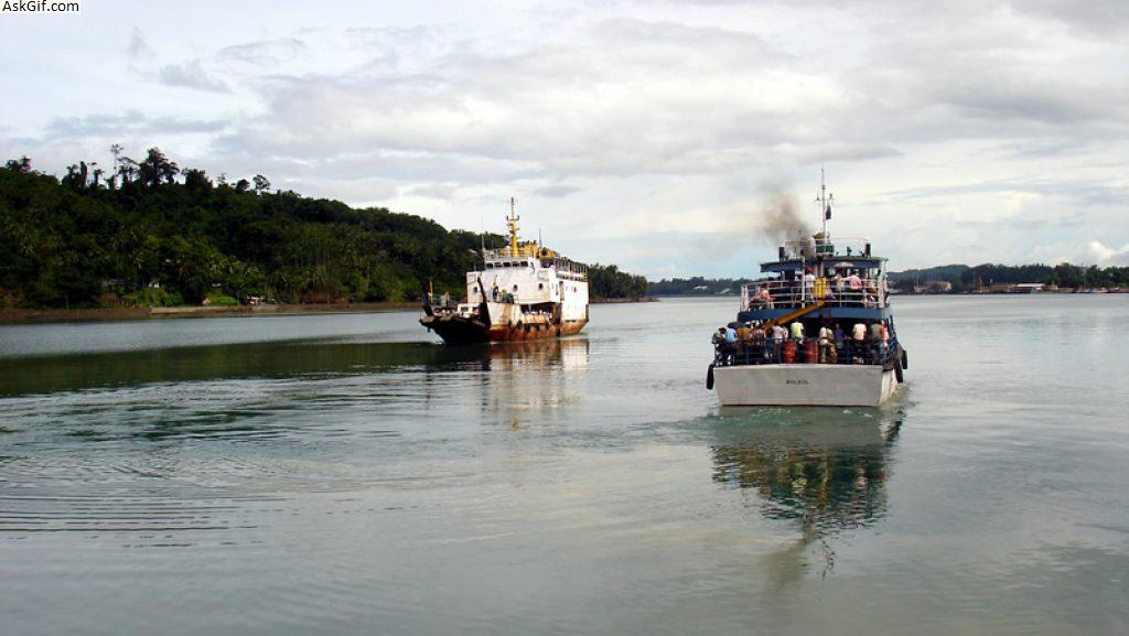 4. चैथम द्वीप