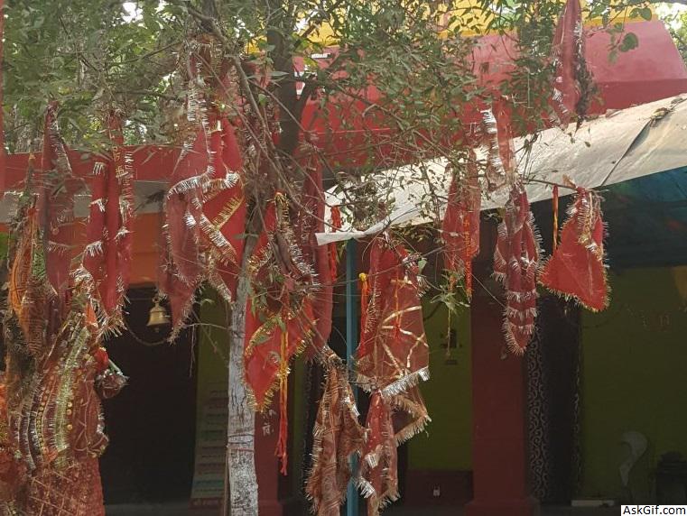 3. महामाया मंदिर