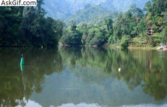 4. गाइकर सिनींग