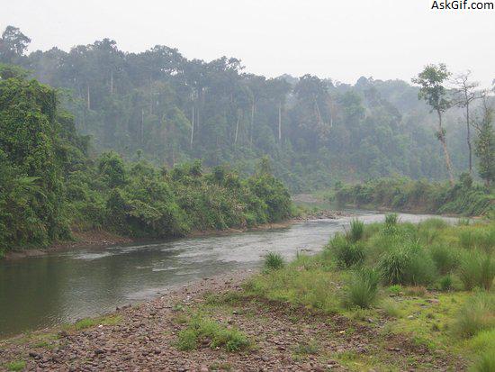 4. देहिंग पटकाई वन्यजीव अभयारण्य