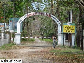 1. मानस नेशनल पार्क और टाइगर प्रोजेक्ट