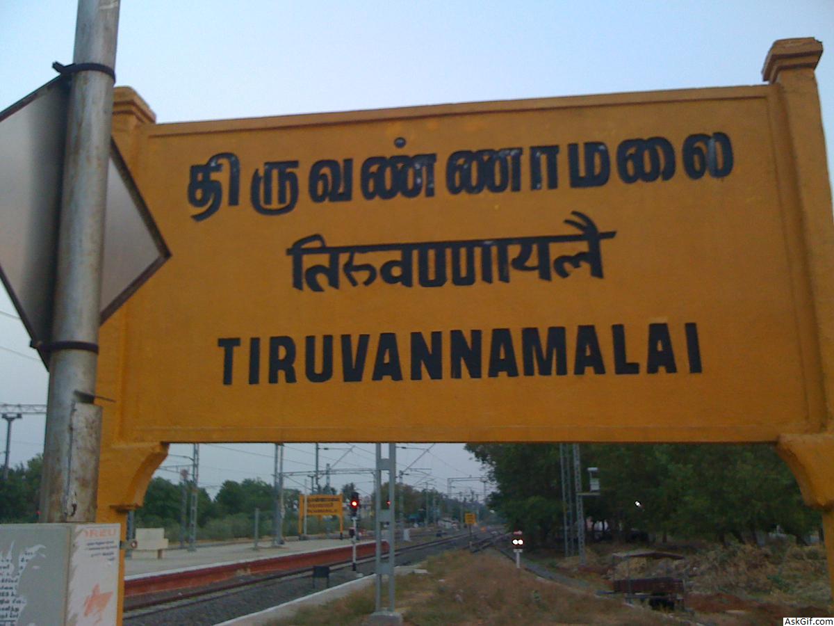 तिरुवन्नामलाई में देखने के लिए शीर्ष स्थान, तमिलनाडु