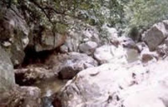 8. दमऊधारा