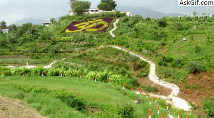 5. मंगली वन