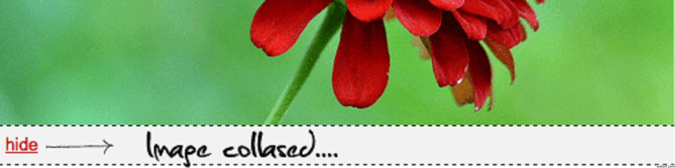 Implementing Collapsed Image Using Jquery and CSS.