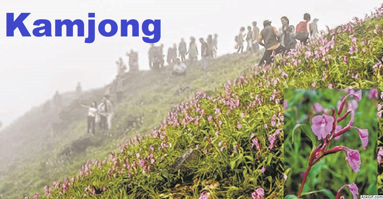 कामजोंग में देखने के लिए शीर्ष स्थान, मणिपुर