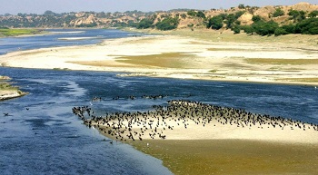 2. राष्ट्रीय चंबल अभयारण्य