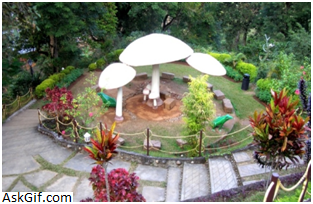 2. अग्निगढ़