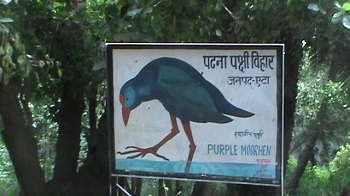 1. पटना पक्षी अभयारण्य