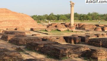 Top Places to visit in Muzaffarpur, Bihar - Blog - Find Best Reads of ...