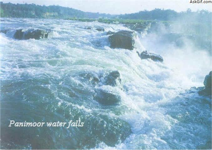 5. पैनिमूर