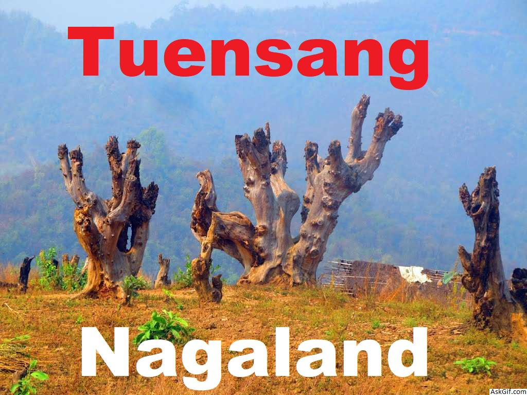 तुएनसांग में देखने के लिए शीर्ष स्थान, नगालैंड