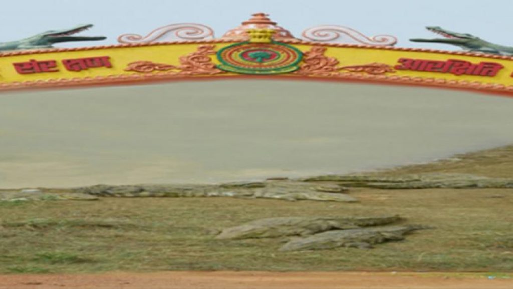 6. क्रोकोडाइल पार्क