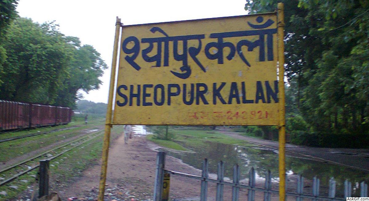 श्योपुर में देखने के लिए शीर्ष स्थान, मध्य प्रदेश