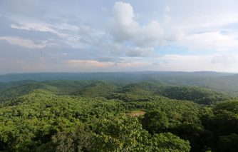 1. भोरमदेव सेंचुरी