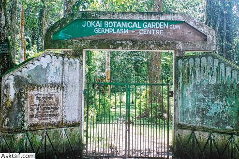 2. जोकाई बॉटनिकल गार्डन सह जर्मप्लाज्म सेंटर