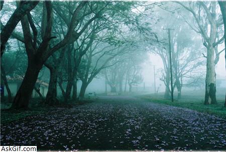 4. हॉर्सले हिल्स