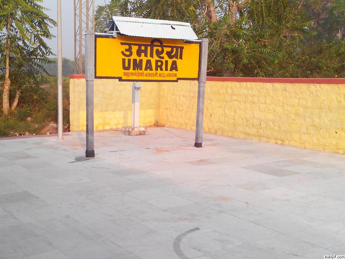 उमरिया में देखने के लिए शीर्ष स्थान, मध्य प्रदेश