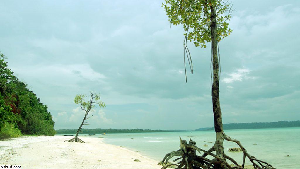 2. स्वराज दिलीप (राधा नगर बीच)