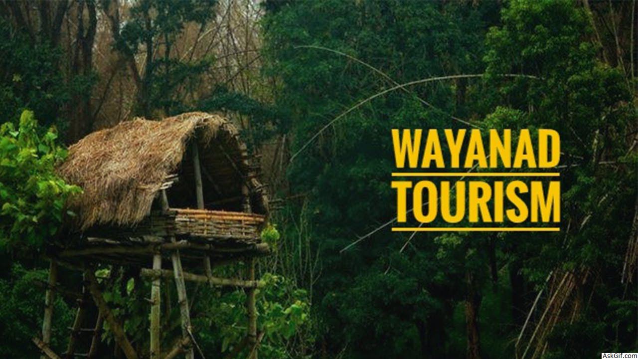 Top Places to visit in Wayanad, Kalpetta, Kerala - Blog - Find Best ...