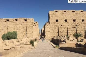 4. रुचि के स्थान