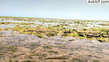 8. नारारा द्वीप