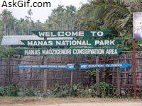 3. मानस नेशनल पार्क