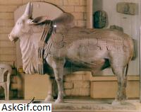 1. अमरावती संग्रहालय