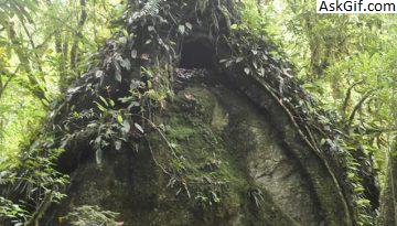 4. अथुप्पु - इडु मिश्मिस (टैलोन वैली) का पवित्र स्थान