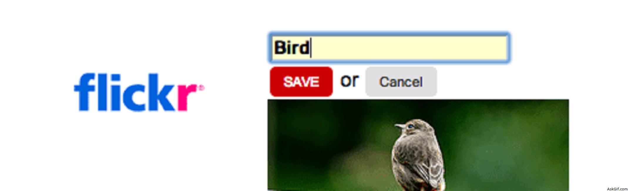 Implementing Flickr Style Live Title Edit Using Jquery and Ajax