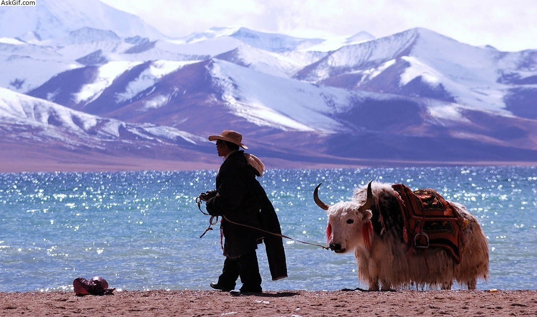 The endangered source of life: a view from the third pole