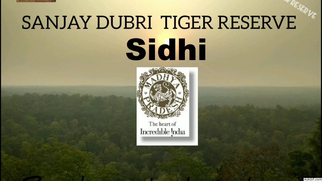 सीधी में देखने के लिए शीर्ष स्थान, मध्य प्रदेश