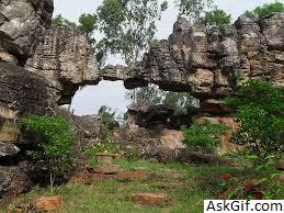 6. श्री वेंकटेश्वर राष्ट्रीय उद्यान