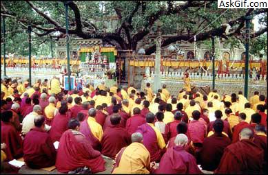 7. संस्कृति और विरासत