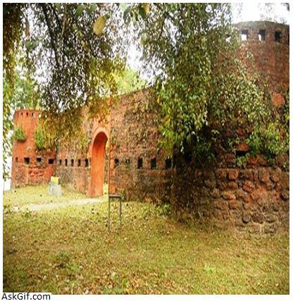 3. बदरपुर का किला